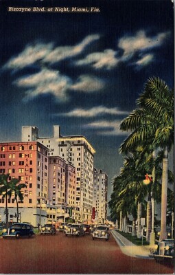 c1940's Biscayne Blvd At Night Miami Florida Vintage Postcard Street Cars Palm