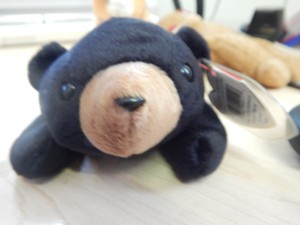 rare retired beanie babies