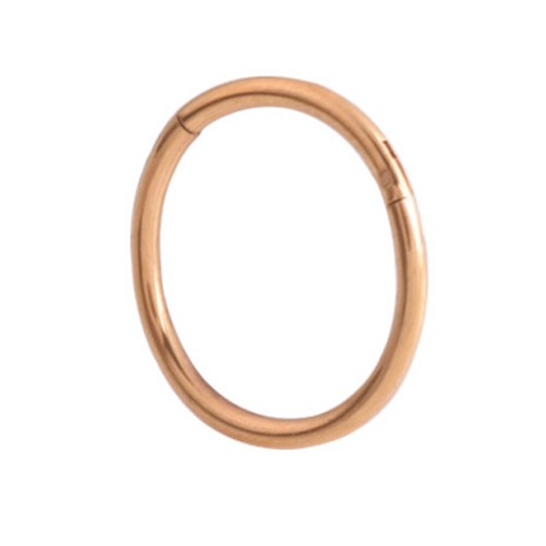 1PCS Titanium Hinged Segment Nose Ring Ear Cartilage Tragus Helix Lip Piercin ❥ - Picture 9 of 29