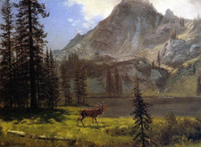 Albert Bierstadt Call of the Wild Giclee Print on Canvas 8x10 Wall Art Decor