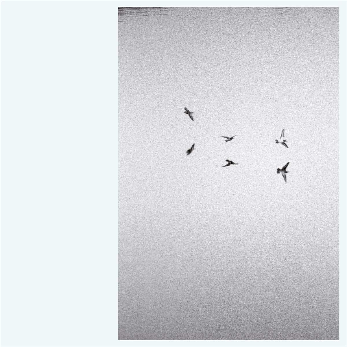 Kirk Barley - Landscapes - Vinile