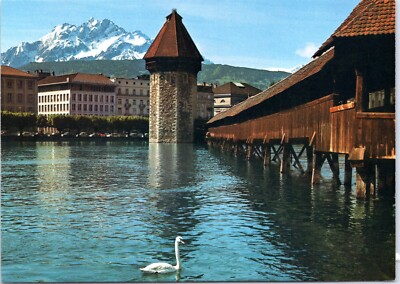 Postcard Switzlerand Luzern Swan in front of Kapeli Bridge Watertower