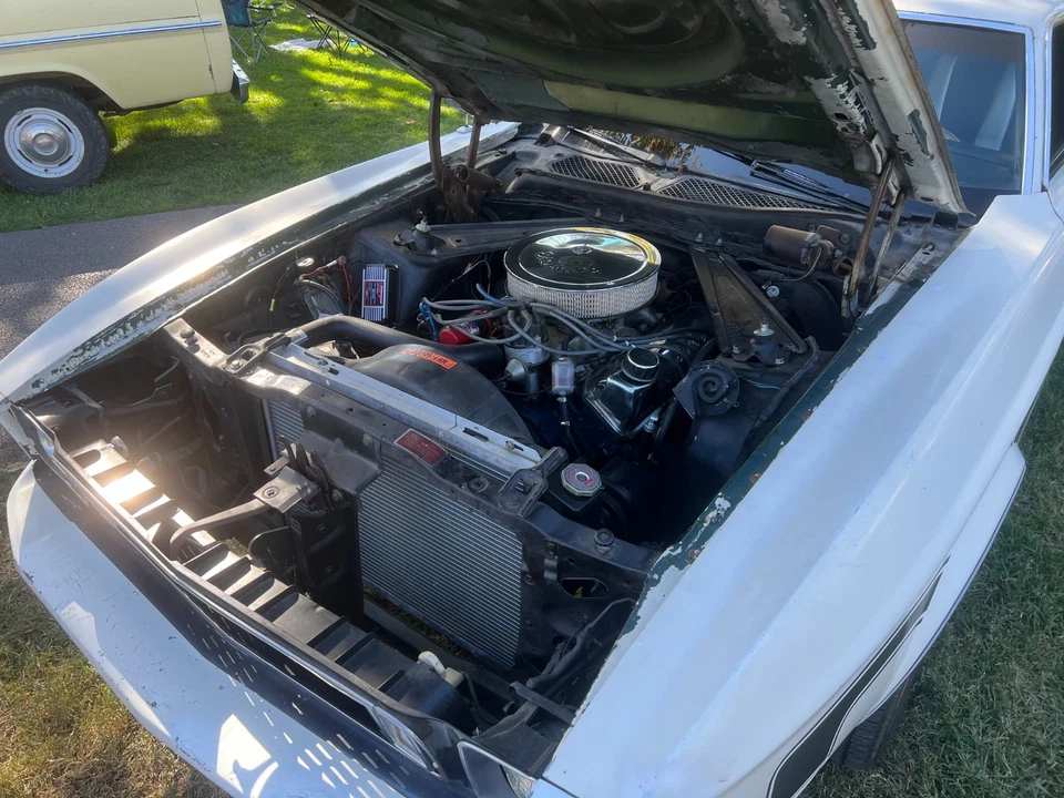 Ford Mustang Mach 1 1973 Foto 4 de 4