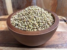 Coriander Seed Whole AA Grade Premium Quality Free UK P&P
