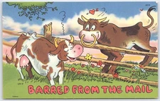 Vintage Comic Cow Postcard Barred From The Mail Motel Talladega in Alabama,