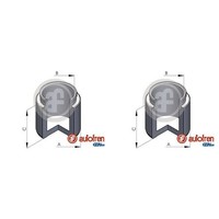 2X Autofren 46Mm Kolben Bremssattel Vorne Passend FüR Hyundai H100 KIA Carnival
