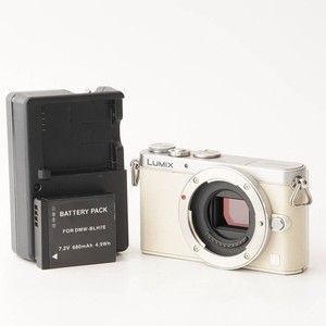 GM 1 Lumix | eBay