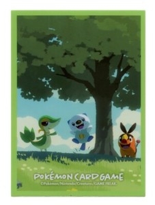 hop pokemon card Pokémon Card Hop's Rookidee - Battle Partners main image 0
