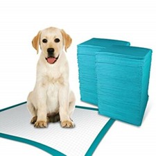 150ct 30x30" CHEAP Econo 3 Ply Lightweight Puppy Training Piddle Poopee Pee Pads
