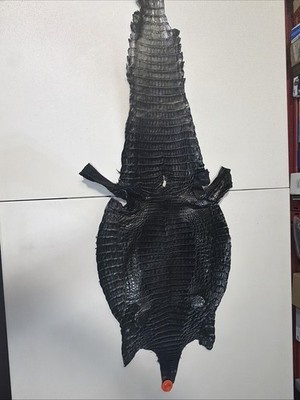 GENUINE CROCODILE SKIN ( BLACK )