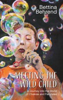 Meeting The Wild Child A Journey Into The World Of Chakras And Fairytales Buch