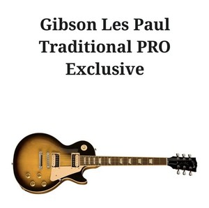 Gibson Les Paul Traditional 2010 | eBay
