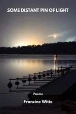 Some Distant Pin of Light by Francine Witte Paperback Book