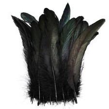 Black Rooster Feathers 100Pcs Natural Feather Bulk 6-8Inch for DIY Handmade C...