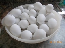 44 Juvale / Infinite Commerce Inc. Plastic White Hollow Eggs