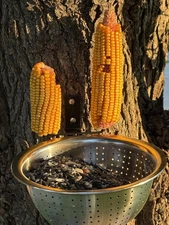 Squirrel Feeders for Outside-Squirrel Feeder with Drainage Holes, Removable Bowl