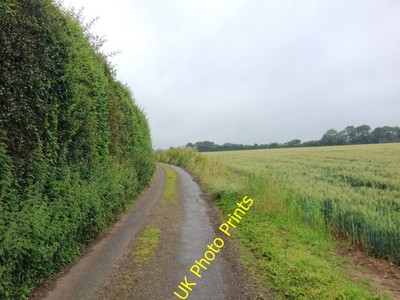 Foto 6x4 Kennel Barn Road, in der Nähe von Bicknor Deans Bottom c2016