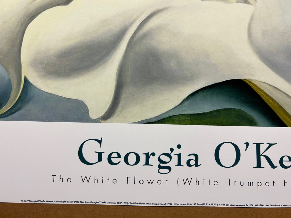 The White Flower (White Trumpet Flower) 1932 Georgia O'Keeffe