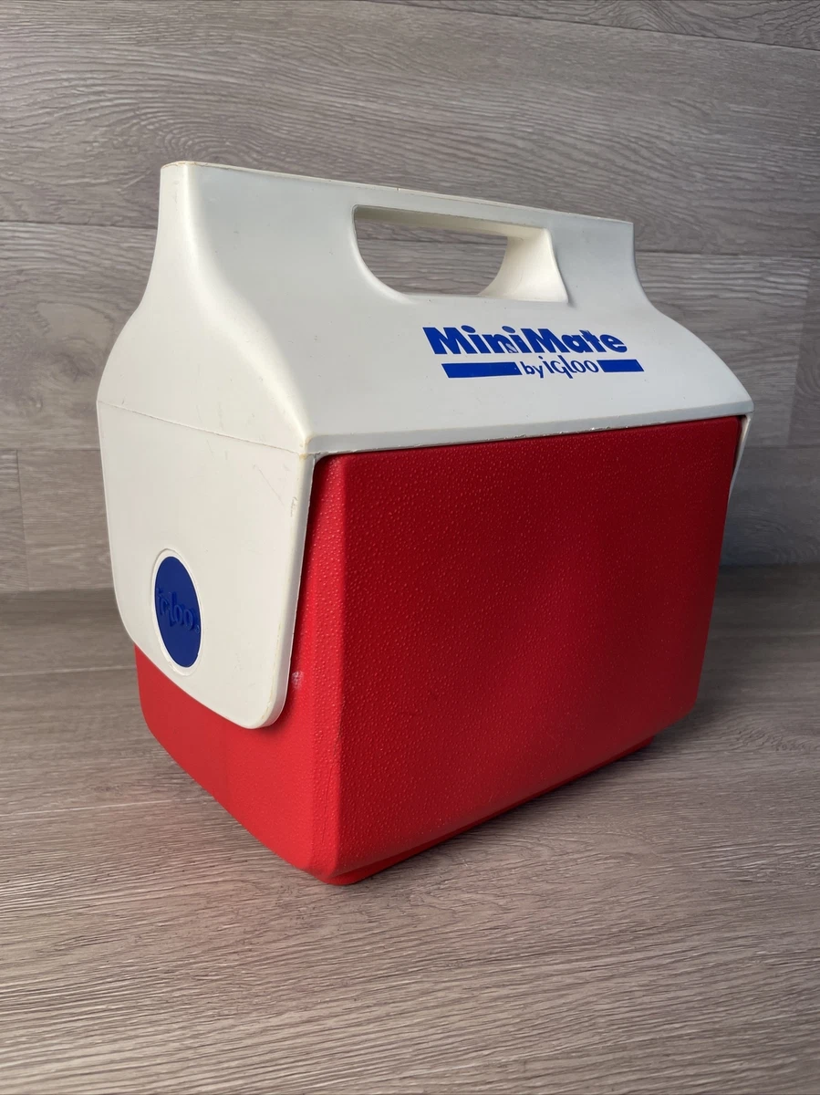 Igloo hotsell lunch box