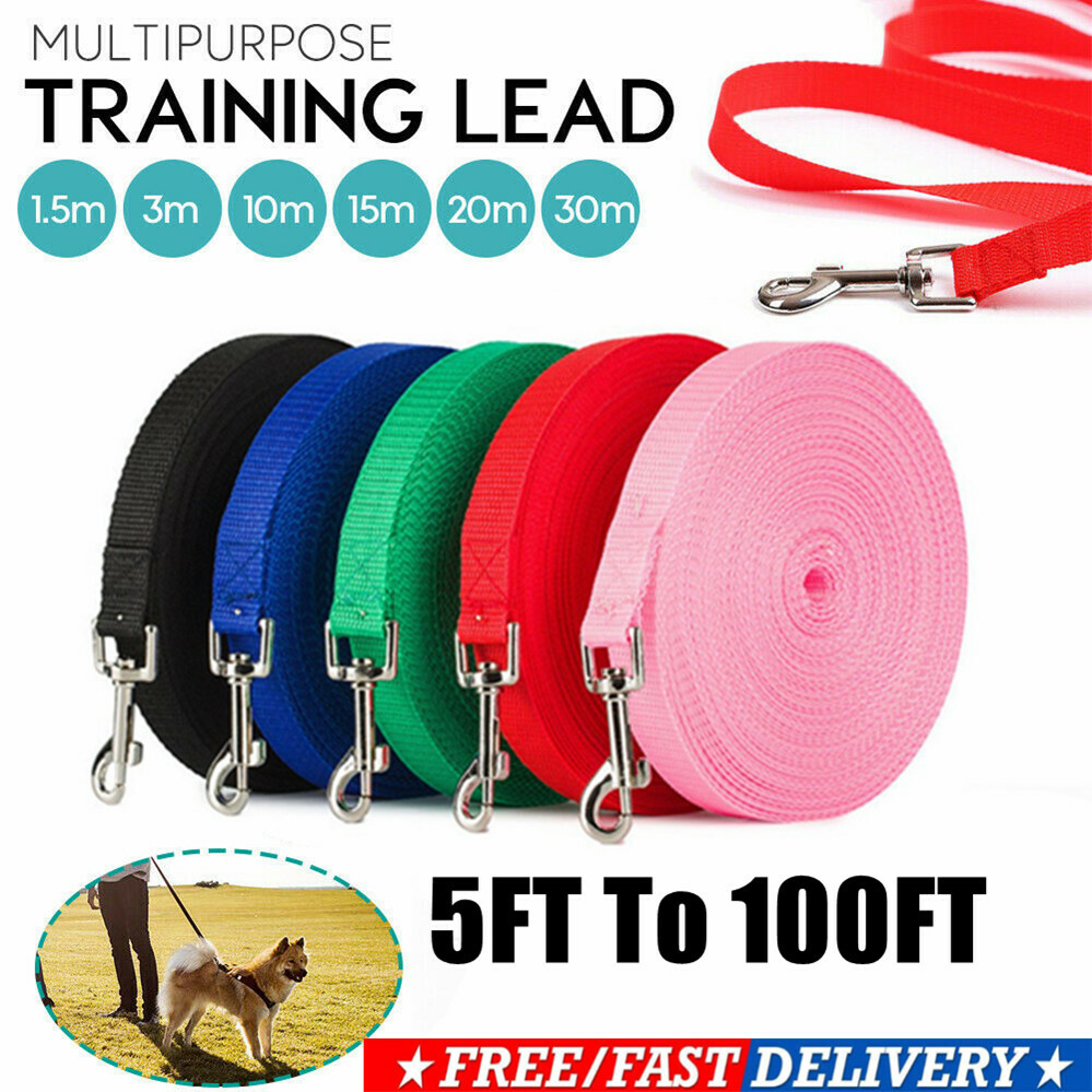 12m retractable dog lead