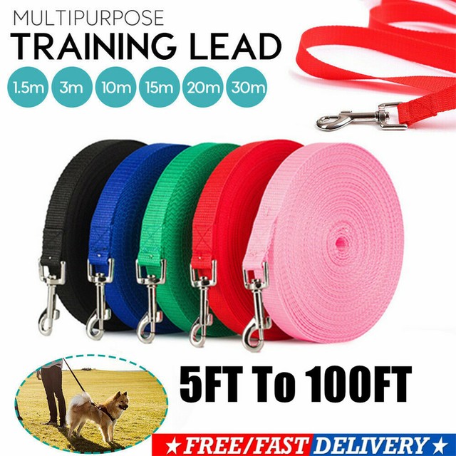 long retractable dog lead 15m