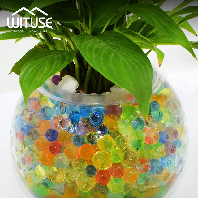 orbeez plants