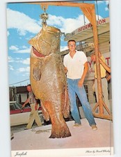 Postal El pez gigante pez judío capturado por Robert Hurst de Angleton Texas EE. UU.