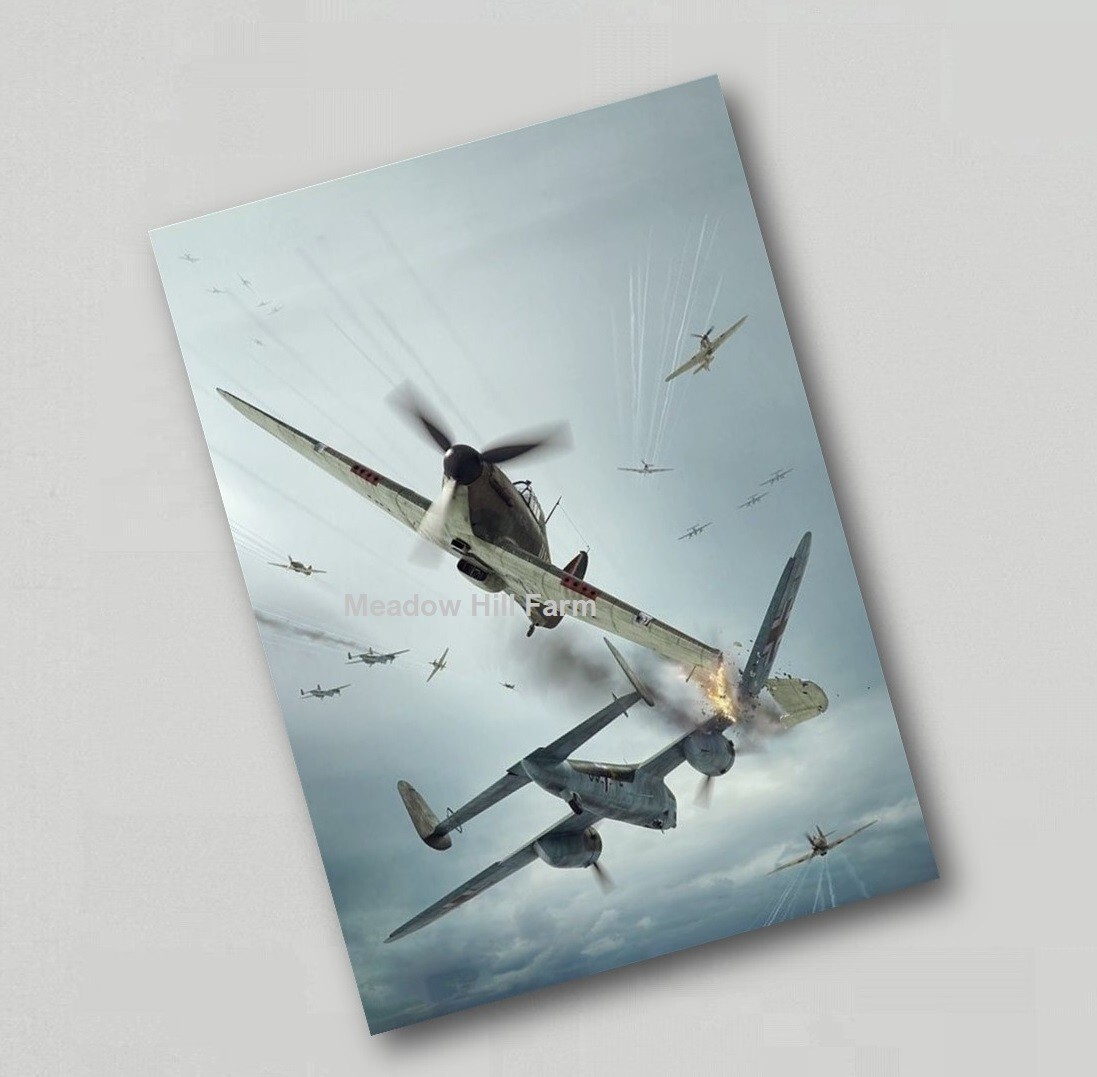 Fridge Supermarine Spitfire Plane Hurricane RAF Battle of