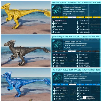 Ark Survival Ascended pve TOP STAT ABB RAPTOR PAAR XBOX/PC/PS5