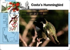 Dr Jim Stamps Maximum Card Hummingbird 41C Costas Hummingbird 29C Fdc