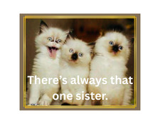 Funny Cat Sister Humor Meme Refrigerator Magnet