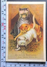 Antique Victorian Trade Card VTC Reynold's Fine Shoes Utica NY Cats Rat