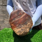 20.7LB Natural wood fossil quartz crystal mineral specimens healing — photo 7