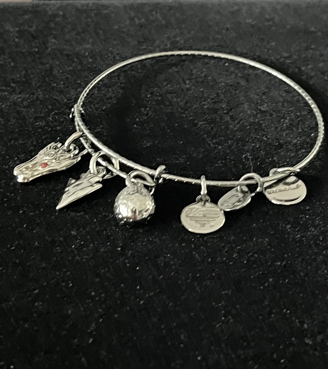 ALEX & ANI Expandable Wire Bracelet Midnight Silver Dragon 