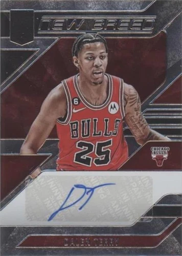 2023-24 Donruss Elite - Dalen Terry #NB-TER