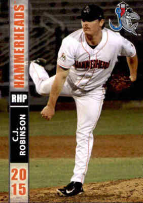 2015 Jupiter Hammerheads Grandstand #26 C.J. Robinson Apopka Florida FL Card