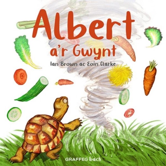 Albert a'r Gwynt by Ian Brown (Paperback Book)