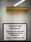 Ancient Copal With Insects.  From Madagascar 10,000 Years Old — photo 2