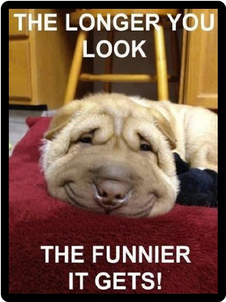 Funny Dog Humor I'm Doing My Best Refrigerator Magnet