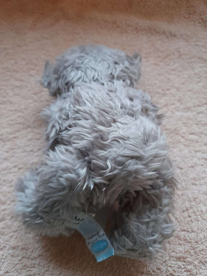 Me To You Teddy Bear Congratulations - Image 2 of 2