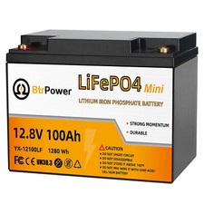 BtrPower 12V 100Ah LiFePO4 Lithium Battery Pack BMS for RV Solar Panel System