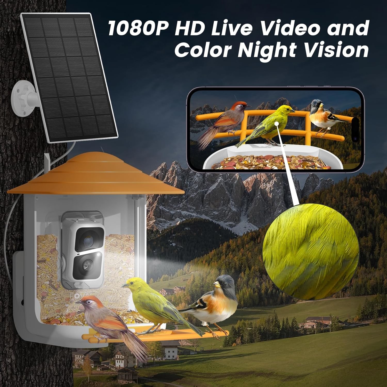 Bird Feeder with Camera, Smart Feeder Camera with AI Identify Bird Species, Auto