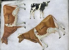 Antique DeLaval Cream Separator Advertising Tin Litho Cows Calf Sign Vintage