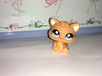 Littlest Petshop Chaton Chat N 1371 Pet Shop Baby Cat Ebay