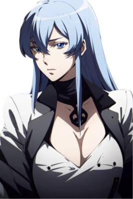 Autocollant voiture 6 Esdeath Akame Ga Kill anime résistant