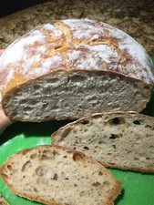 Organic Alaskan Sourdough Starter Active Tasty Dehydrated - 15 Gram Bag