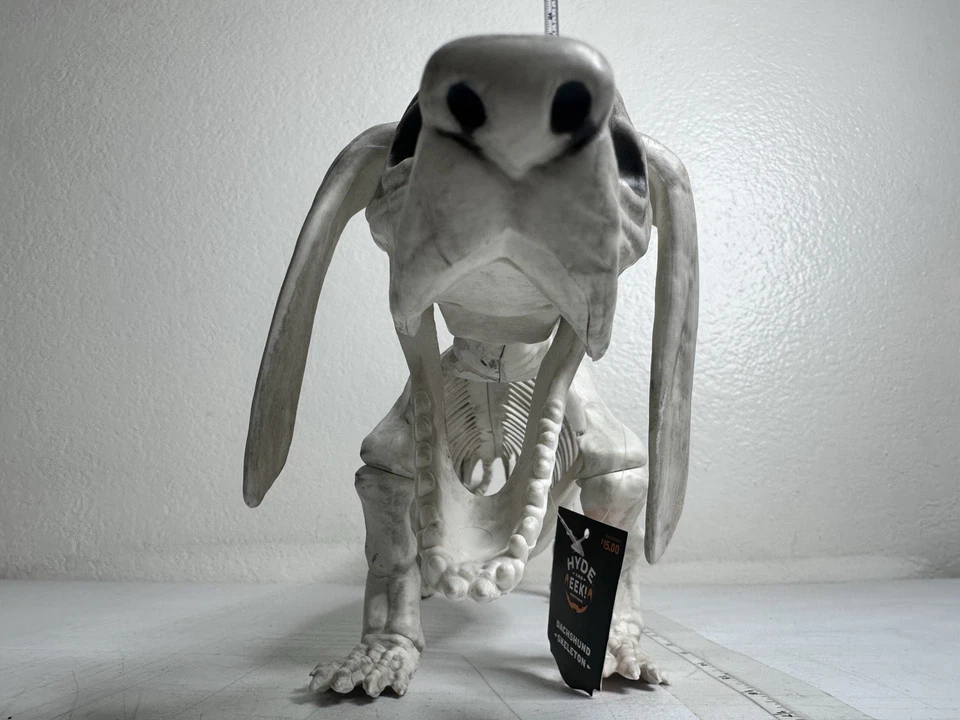 Hyde & EEK! Boutique Dachshund Skeleton Halloween Posable Prop 22" Dog Decor - Image 3 of 4