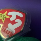 Foto 5 di 6