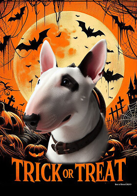 Bull Terrier Mini White/Eye Patch Trick or Treat Halloween Flag