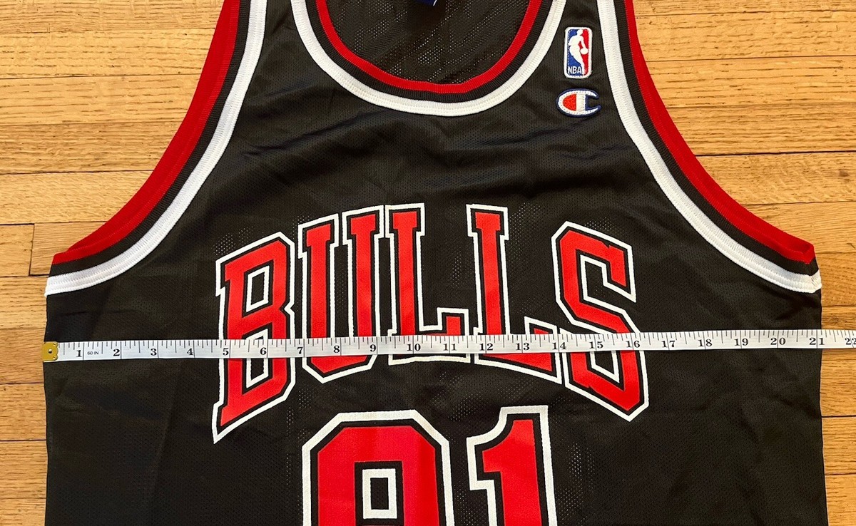 Chicago Bulls Dennis Rodman Champion Jersey Mens 44 L